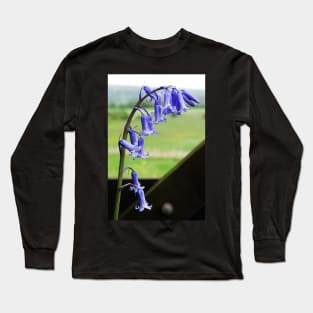 English Bluebells - Hyacinthoides non-scripta Long Sleeve T-Shirt